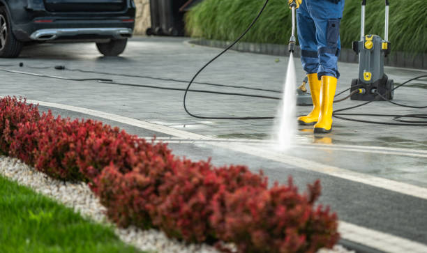 Best Roof Washing  in Burkburnett, TX